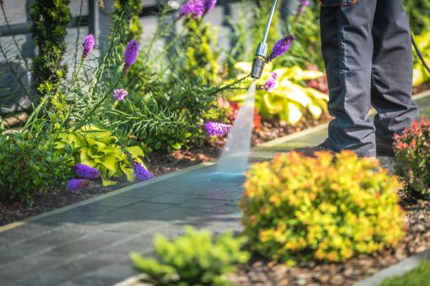Best Concrete Surface Cleaning in Schleswig, IA